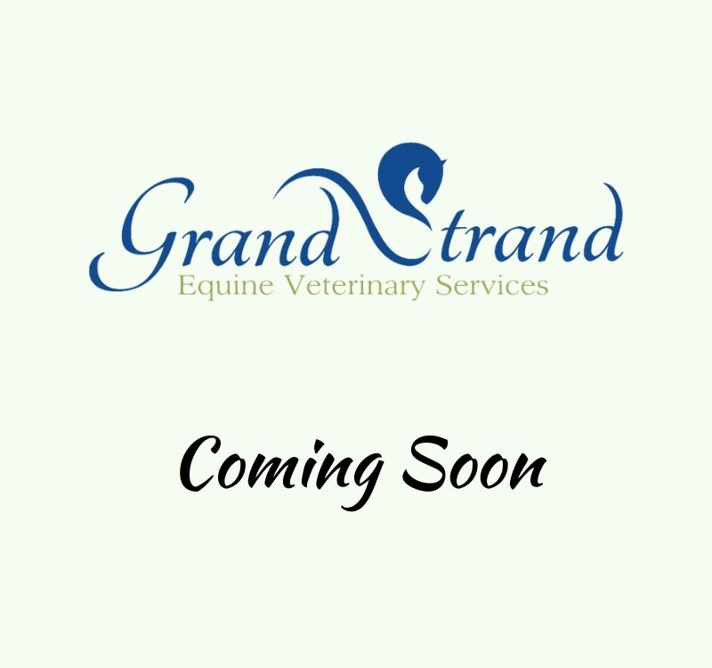 coming soon placeholder