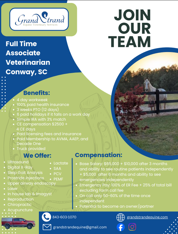 A horse running in a field