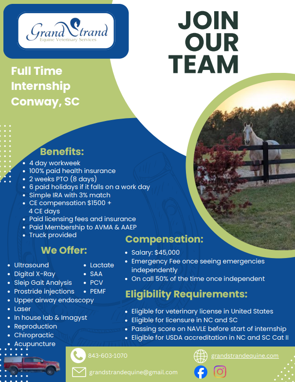 A horse running in a field